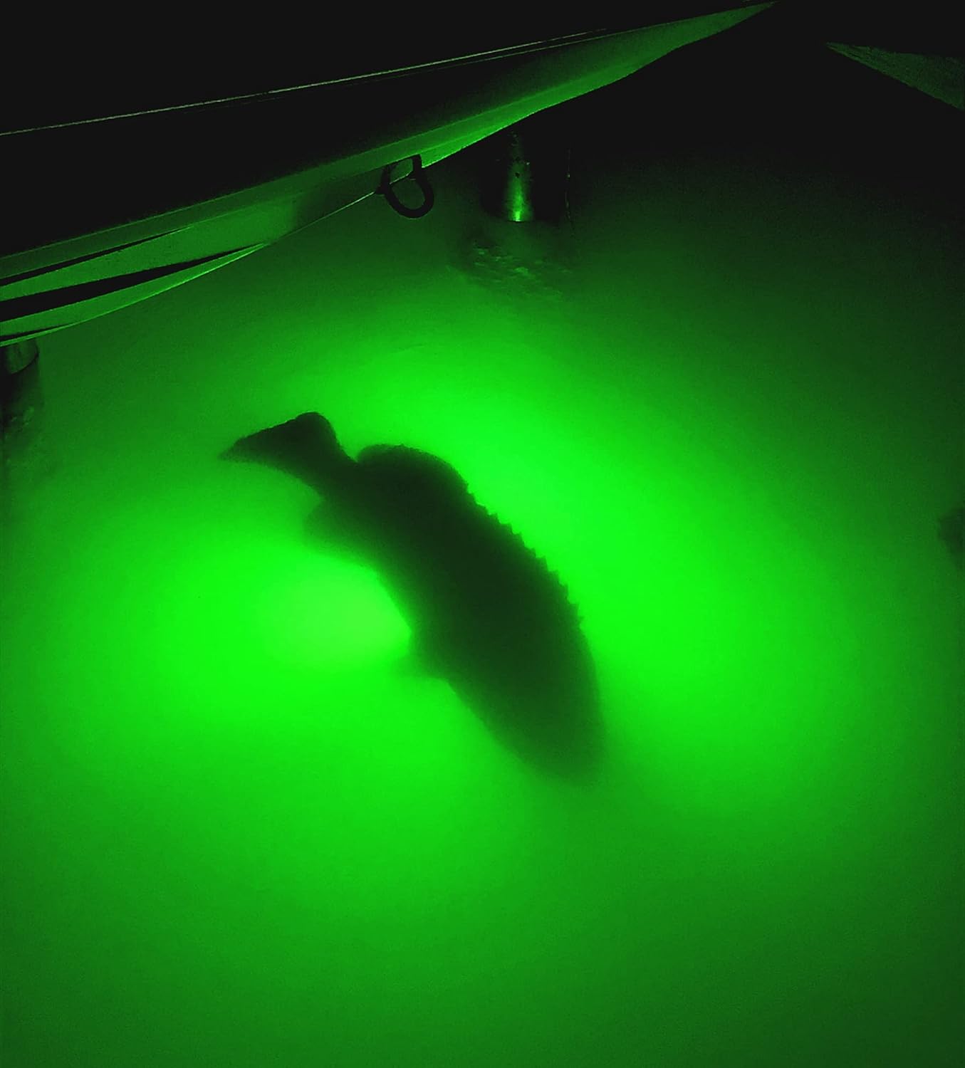 Light Extra Bright Vibrant Green 250W Single Light for Docks with 50' of Marine Grade Wire, Easy to Install, Dusk to Dawn Operation, Salt or Fresh Water, Guaranteed to Attract Fish