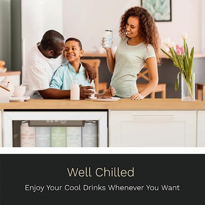 hOmeLabs Beverage Refrigerator and Cooler - 120 Can Mini Fridge with Glass Door for Soda Beer or Wine