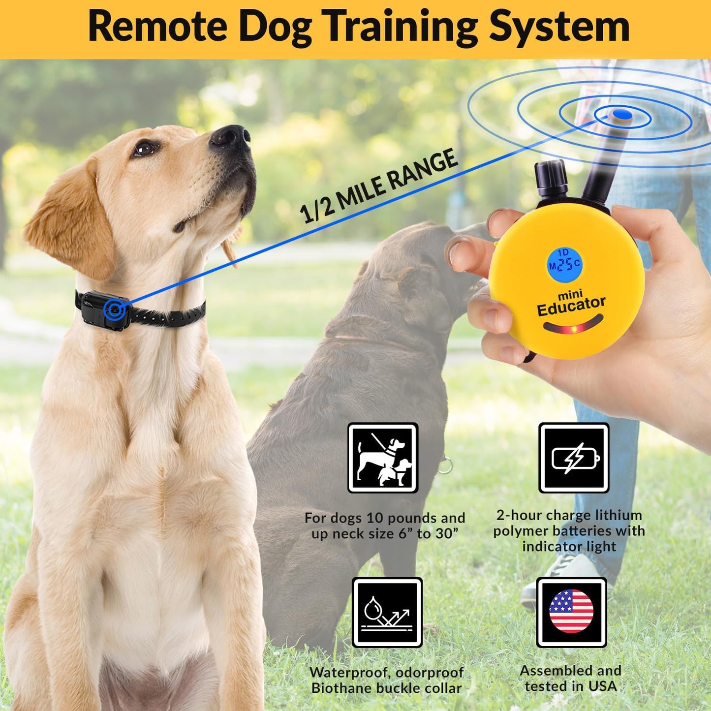 Humane Dog Training Collar with Remote, Features 100 Levels of Safe Stimulation, Tapping Sensation, Night Light, Waterproof, Rechargeable, 1 Mile 1 Dog, Black
