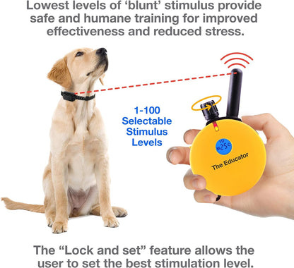 Humane Dog Training Collar with Remote, Features 100 Levels of Safe Stimulation, Tapping Sensation, Night Light, Waterproof, Rechargeable, 1 Mile 1 Dog, Black