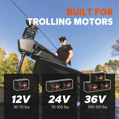 LiTime 12V 100Ah TM LiFePO4 Lithium Battery