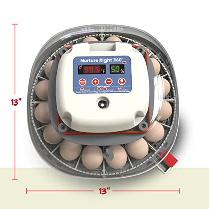 Harris Farms Nurture Right Egg Incubator for Hatching Chicks - Holds 22 Eggs