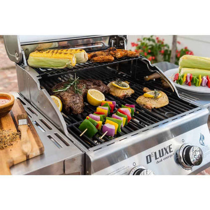 2-Burner Propane Gas Grill, Red – Stainless Steel, 28,000 BTUs, Compact Design
