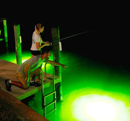 Light Extra Bright Vibrant Green 250W Single Light for Docks with 50' of Marine Grade Wire, Easy to Install, Dusk to Dawn Operation, Salt or Fresh Water, Guaranteed to Attract Fish