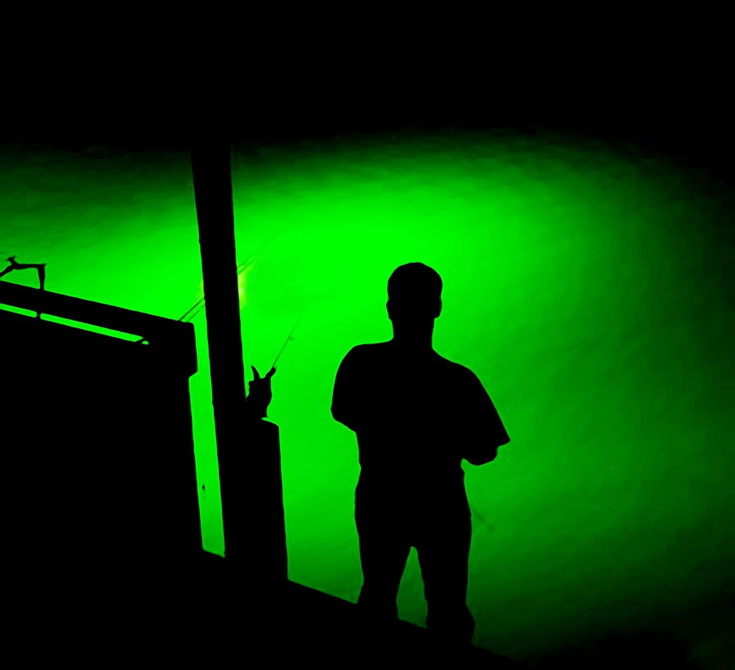 Light Extra Bright Vibrant Green 250W Single Light for Docks with 50' of Marine Grade Wire, Easy to Install, Dusk to Dawn Operation, Salt or Fresh Water, Guaranteed to Attract Fish